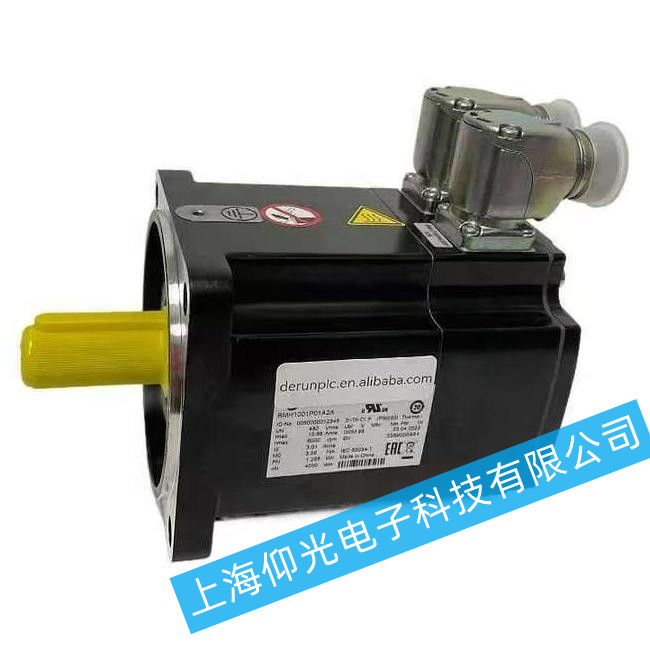 ʩ�͵µ��BMH1001P11A2A���ع���ά��